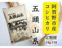 【ふるさと納税】【新米】「米屋のこだわり阿賀野市産」≪3回定期便≫コシヒカリ5kg×3回