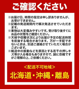 【2024年先行販売】詰合 白桃（1玉220g以上）2玉・シャインマスカット晴王（1房480g以上）2房 化粧箱入り 株式会社山博(中本青果)《7月下旬-8中旬頃出荷》岡山県 浅口市 ぶどう フルーツ