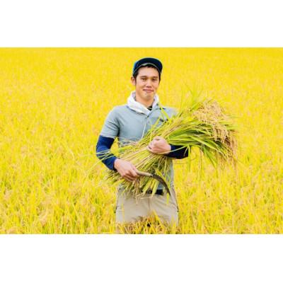 ふるさと納税 南陽市 はえぬき 5kg×2袋 合計10kg(精米)【S2373】 |  | 02