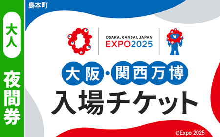 No.160 2025年日本国際博覧会入場チケット 夜間券（大人）【島本町返礼品】／ 万博 ばんぱく EXPO 2025 大阪万博 関西万博 大阪・関西万博 パビリオン ミャクミャク 大屋根リング いのち 未来 未来社会 環境 グルメ 海外グルメ 国際交流 文化交流 観光 入場券 チケットID 夢洲 大阪府 万博 万博 万博