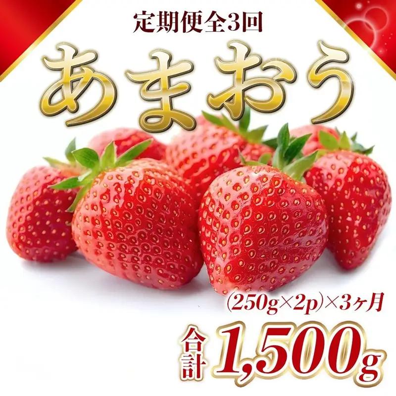 【定期便3ヶ月】【先行予約】 福岡県産 あまおう 合計1500g いちご イチゴ 福岡県産
