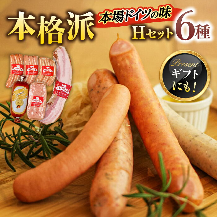 【ふるさと納税】マイスター直伝手作りソーセージ　Hセット