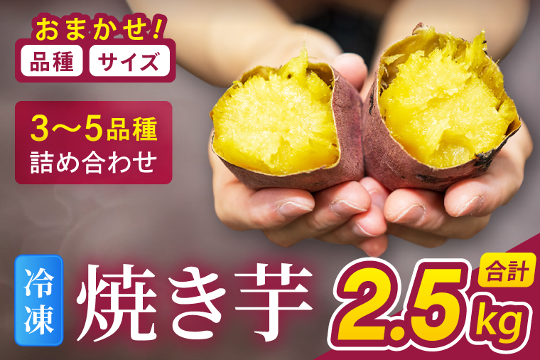 冷凍焼き芋 『Sea Sweet』 2.5kg 品種おまかせ詰め合わせ  3~5種類 詰合せ【 紅はるか / きみまろこ / 紫いも / 紅まさり / 紅あずま / 栗かぐや 】 真空パック 個包装 