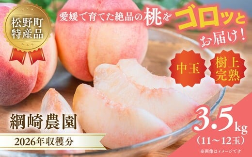 【2026年出荷分先行予約】愛媛の桃どころ 「綱崎農園」から届ける中玉桃  約3.5kg ｜ ふるさと納税 桃 冷蔵 松野町 フルーツ ギフト ※北海道・沖縄・離島への配送不可 ※2026年6月中旬～8月中旬もしくは下旬頃に順次発送予定