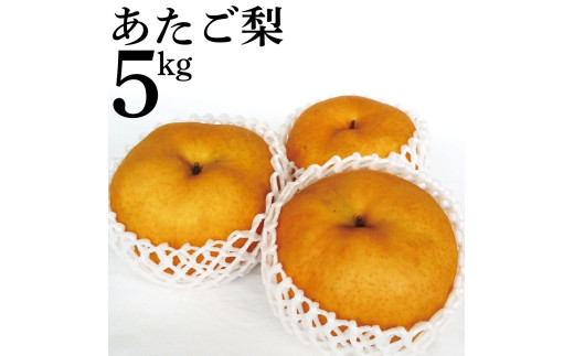 14M.あたご梨5kg
