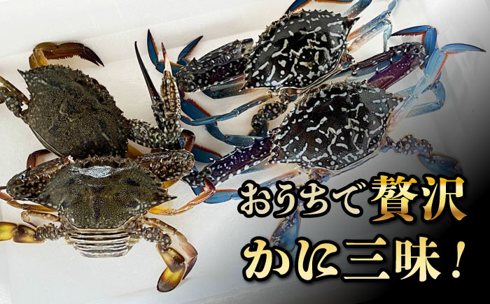 【先行予約】【2026年8月以降順次発送】豊前海産 タイワンガザミ 2kg (10～24杯前後) オス メス セット 《築上町》【明青丸】 ワタリガニ 渡り蟹 蟹 カニ [ABCB003] 27000円 2万7千円