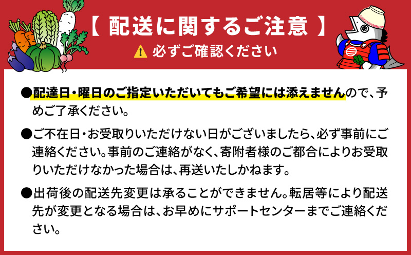 三浦大根【1本3〜4kg】×5本【数量限定】　M089-004【田中農園SAYURAN】