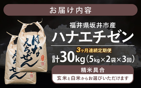 定期便 ≪3ヶ月連続お届け≫【令和8年産】 坂井市産 ハナエチゼン 10kg (5kg×2袋) × 3回 (計30kg) 【白米】 米 コメ お米 華越前 [D-10202_01]