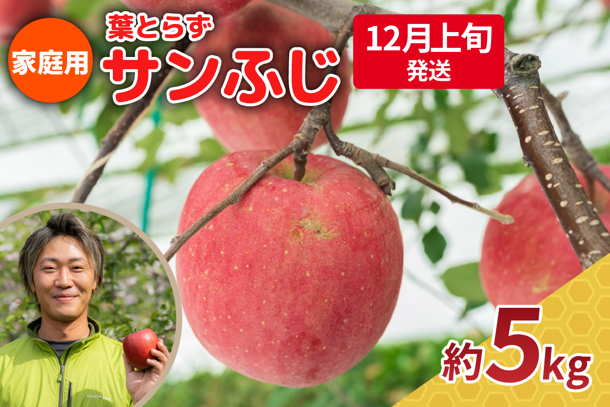 【2025年12月上旬発送】りんご 5kg 程度 葉とらず サンふじ 11月 12月 家庭用 青森産 りんご ふじ 【 サンふじりんご 葉とらずりんご くだものフルーツ果物林檎約5kg 】