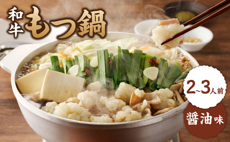 国産和牛もつ鍋（醤油味）2～3人前 ちゃんぽん麺 もつ鍋【B072】