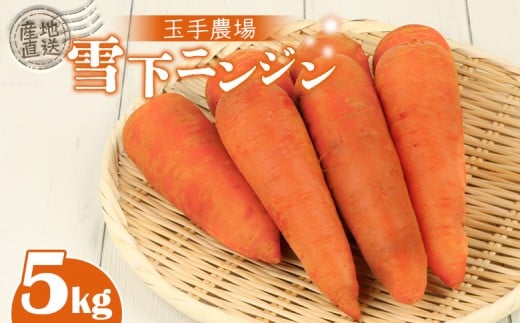 
            玉手農場 雪下にんじん 5kg 人参 にんじん ニンジン 越冬 オンライン 申請 ふるさと納税 北海道 留寿都 野菜 旬野菜 季節野菜 甘い みずみずしい 産地直送 新鮮 採れたて 先行予約 サラダ カレー 5キロ 留寿都村【1200801】
          