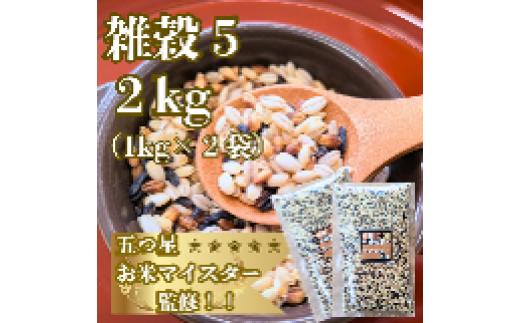 
            【大塚米穀店】穀物／五ツ星お米マイスターが選ぶ雑穀2㎏（1袋×2個）
          