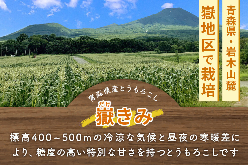 【26年10月中旬～発送】とうもろこし 嶽きみ真空パック Lサイズ 30本 しらかみラボ [先行予約 産地直送 嶽きみ コーン ブランド 真空パック おいしい 青森 野菜 だけきみ]