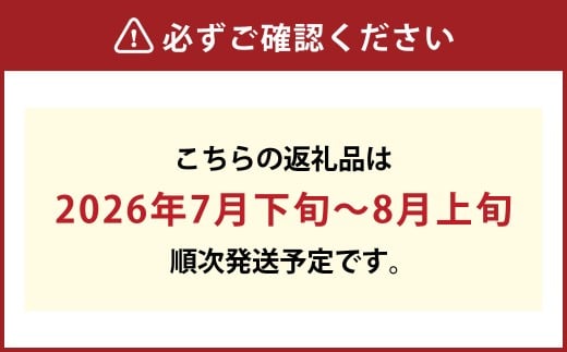 清水白桃（大玉）6～7玉（約2.2kg）岡山 名産品 清水白桃 贈りもの 柔らかい【2026年7月下旬～8月上旬迄順次発送予定】
