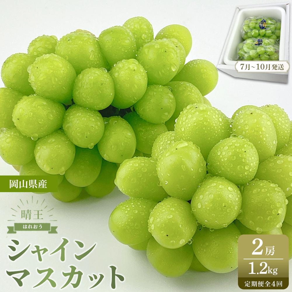 【ふるさと納税】【定期便 全4回／2025年7～10月毎月発送】岡山県産 シャインマスカット 晴王 2房 約1.2kg 4回定期便 先行受付 | マスカット シャイン 岡山産 岡山県産 フレッシュ みずみずしい 新鮮 フルーツ 果物 期間限定 先行予約