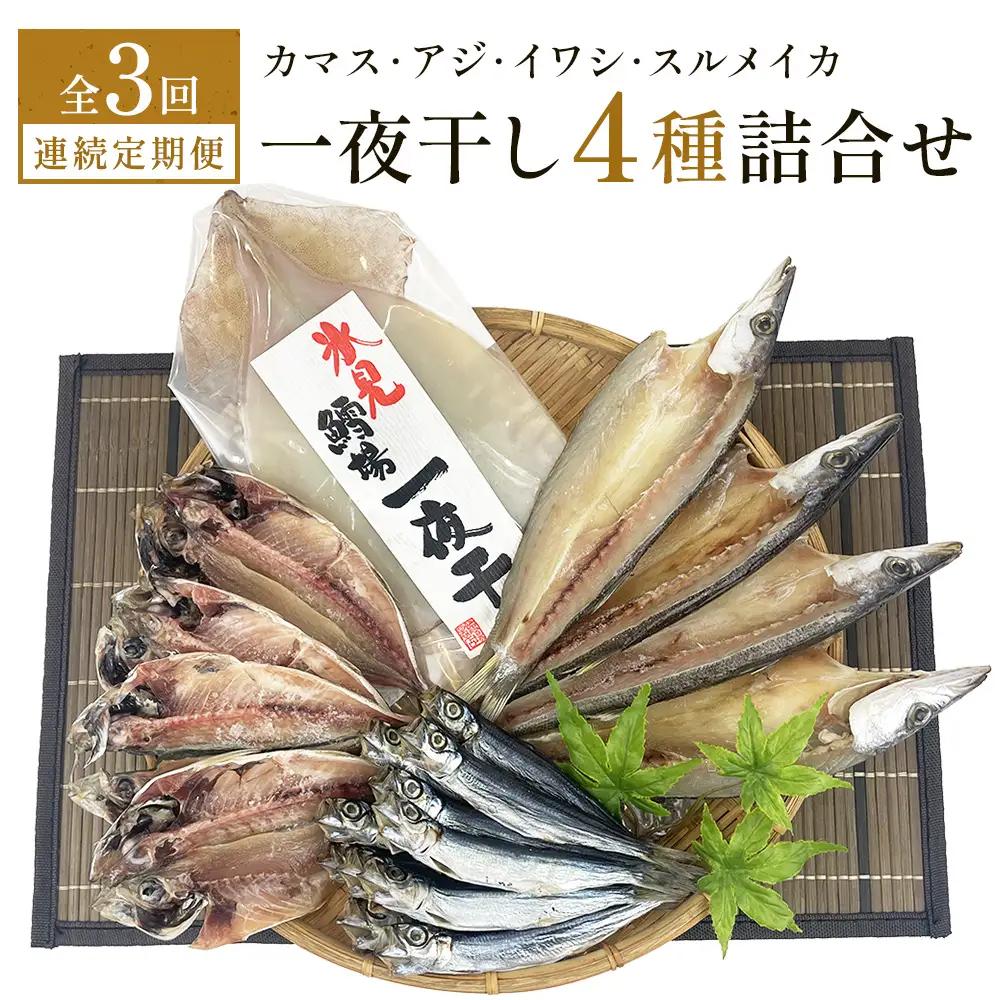 【連続3回】一夜干し4種詰合せ定期便《カマス・アジ・イワシ・スルメイカ》 富山県 氷見市 定期便 干物 かます あじ 鰯 いわし いか おかず 一品