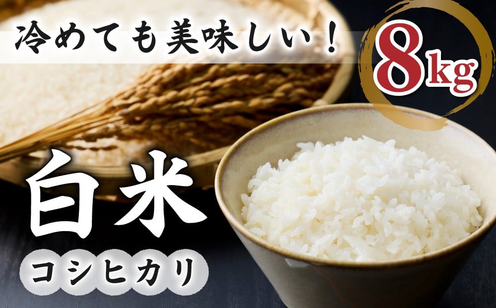 
                  白米8kg（4kg×2袋） 冷めても美味しいコシヒカリ【小田農園】｜最短4〜7日程度でお届け　※着日指定不可
                