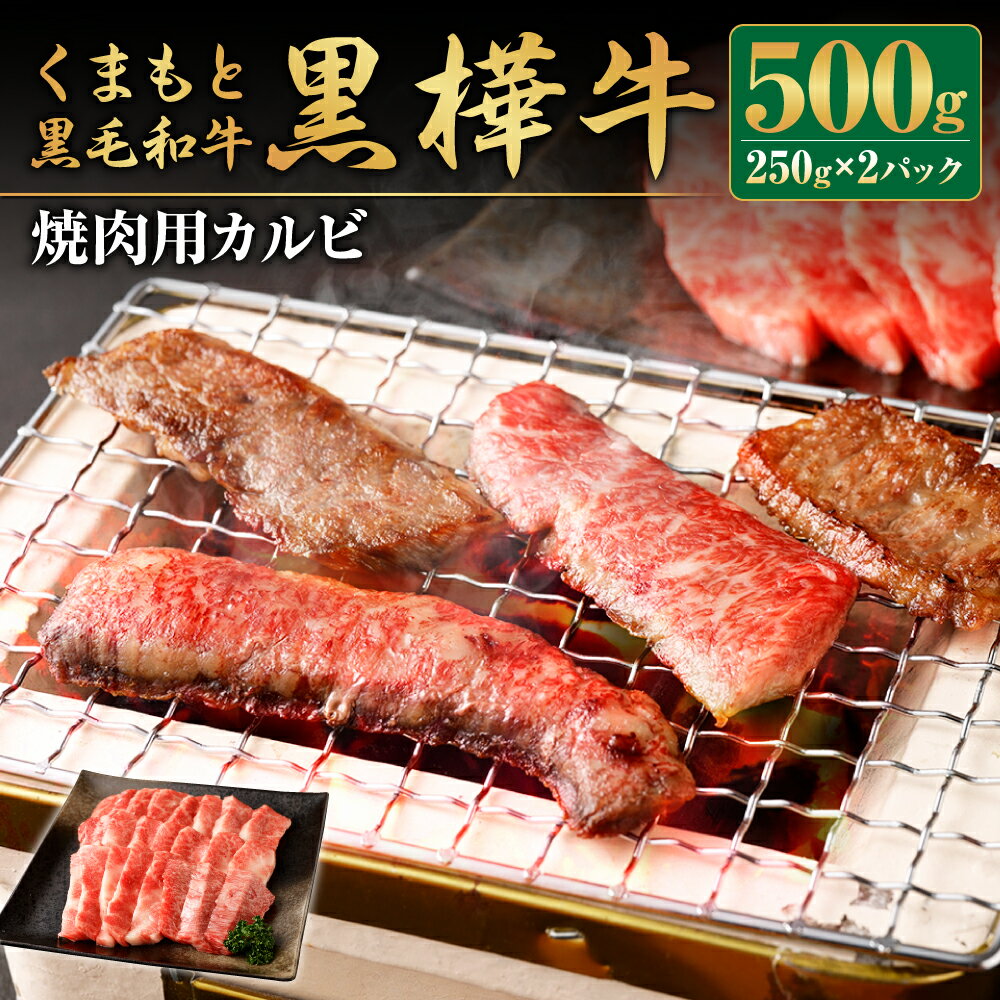 【ふるさと納税】くまもと黒毛和牛 黒樺牛 A4〜A5等級 焼肉用カルビ 250g×2パック 合計500g 牛肉 牛 霜降り 赤身 お肉 焼き肉 BBQ 黒毛和牛 国産 九州産 熊本県産 冷凍 送料無料