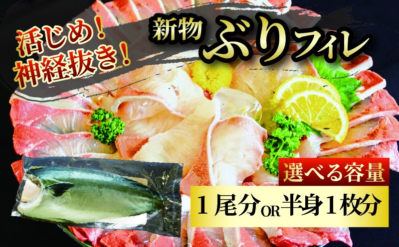 
                  活じめ！神経抜き！ぶりフィレ 半身1枚 / 1尾分 | 鮮魚 刺身 お刺身 お刺し身 魚介 海の幸 冷蔵 ブリ 鰤 ぶり 愛媛県 松山市
                