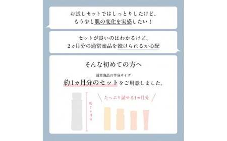 再春館製薬所 ドモホルンリンクル 基本4点 ハーフ セット 保湿液 美活肌エキス クリーム20 保護乳液