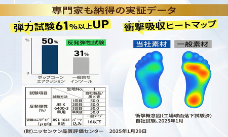 快適ポップインソール (Lサイズ)
