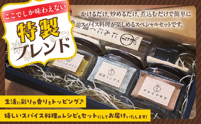 ヒトツブ特製 スパイス 調味料 スペシャル セット 香辛料 カリースパイス 香草ミックス ケイジャンスパイス チャイマサラ にんにく醤油の素 カレーライス 加工品 特製ブレンド おすすめ ギフト 贈り