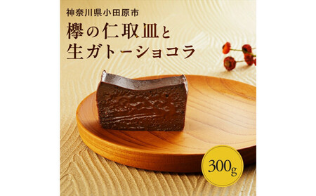 欅の仁取皿と生ガトーショコラ。小田原の伝統を受け継いだお皿と小田原の極上スイーツ(300g)のコラボ商品【チョコレート 特濃厚 濃密な味わい 極上の口溶け 極上のチョコレート 一流の料理人 カカオの風味やコク カカオ 至極の逸品 神奈川県 小田原市 ガトーショコラ ガトーショコラ】