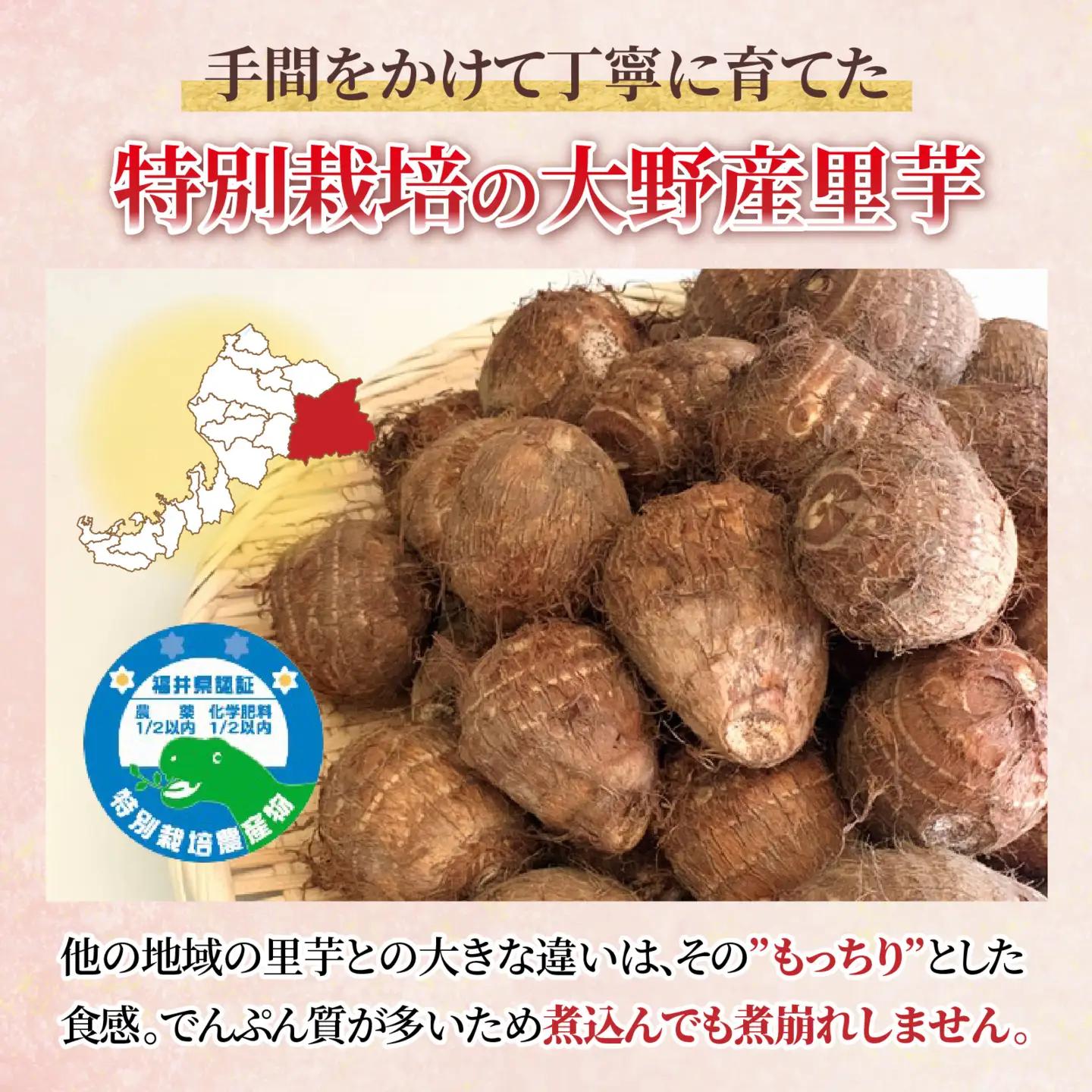 越前大野産 里芋【1月から順次発送】4.5kg 土付里芋 特別栽培  [A-008002]