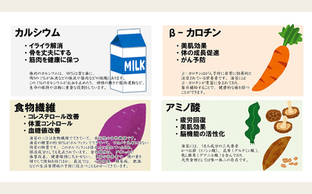KO008 時短でパパっと即席コンビニおにぎりセット！フィルム入り海苔８０個分の海苔と食洗機で洗えるおにぎり押型のセット 