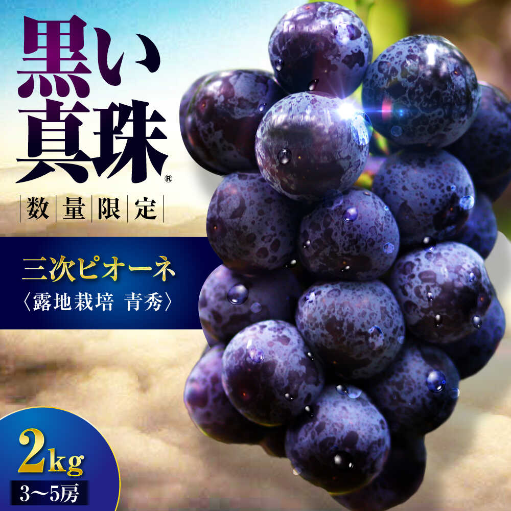 【ふるさと納税】三次ピオーネ 露地栽培 青秀 2kg （3〜5房）【先行予約／数量限定】＜8月下旬頃から順次発送＞ ピオーネ 40セット限定 ぶどう 葡萄 ブドウ フルーツ 種なし 贈答 ギフト 人気 おすすめ 広島 三次 ふるさと納税 三次市 / 三次ピオーネ生産組合 [APBD002]