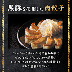 黒豚餃子56個（1袋14個入×4パック） 五味八珍 ぎょうざ ギョウザ 黒豚 ジューシー 柔らかい 肉の旨み ニンニク 確かな味わい 浜松餃子 冷凍餃子 冷凍 惣菜 中華 点心 静岡県 浜松市