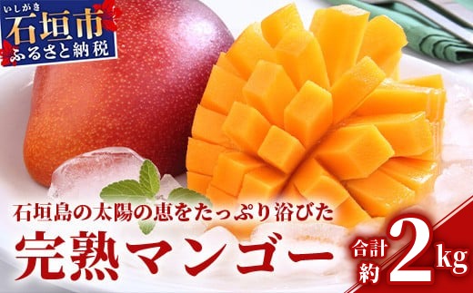 【2026年発送 先行予約】石垣島のマンゴー 約2kg  【沖縄県 石垣市 産地直送 旬 石垣島産 マンゴー 完熟マンゴー】HI-2