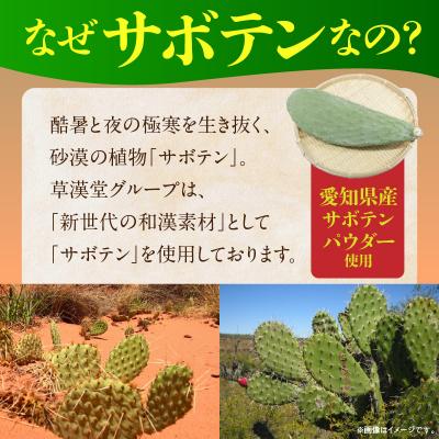 ふるさと納税 小牧市 和漢サボテンのど飴　2袋　[103S13] |  | 02