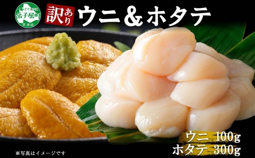 3255. 訳あり うに チリ産 冷凍 ほたて ウニ 100g 帆立 300g 雲丹 不揃い うに わけ あり 海鮮 丼 海鮮丼 刺身 うに丼  自宅用 送料無料 北海道 弟子屈町