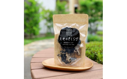 国産 乾燥きくらげ30g×4個 大地のきくらげ 桶川市産【1577259】