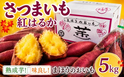 【先行受付】香取市産 さつまいも 紅はるか 約5kg 1本2～300g 焼き芋やスイートポテトにどうぞ  / 芋 サツマイモ さつまいも さつま芋 べにはるか ベニハルカ 焼き芋 焼芋 焼いも お芋 おいも いも 生芋 ITO001_X1