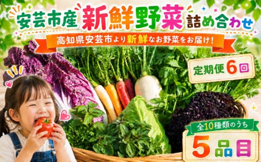 【全6回定期便】 新鮮お野菜詰め合わせセット 1～2人前｜定期便 2回 頒布会 人気 野菜 詰め合わせ セット 新鮮野菜 野菜定期便 野菜セット 季節の野菜 地元産 おすすめ ジャガイモ 玉ねぎ 人参 タマネギ にんじん トマト きゅうり なす 旬野菜 新鮮 お試し やさい定期便 野菜 定期便 1万円 高知県 安芸市