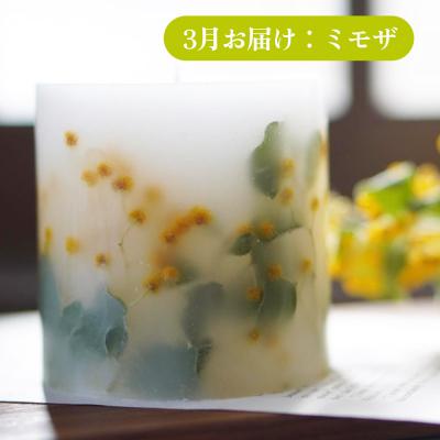 ふるさと納税 弘前市 《定期便全4回》配送月固定 ボタニカル キャンドル  全4個|24_sra-070104 |  | 01