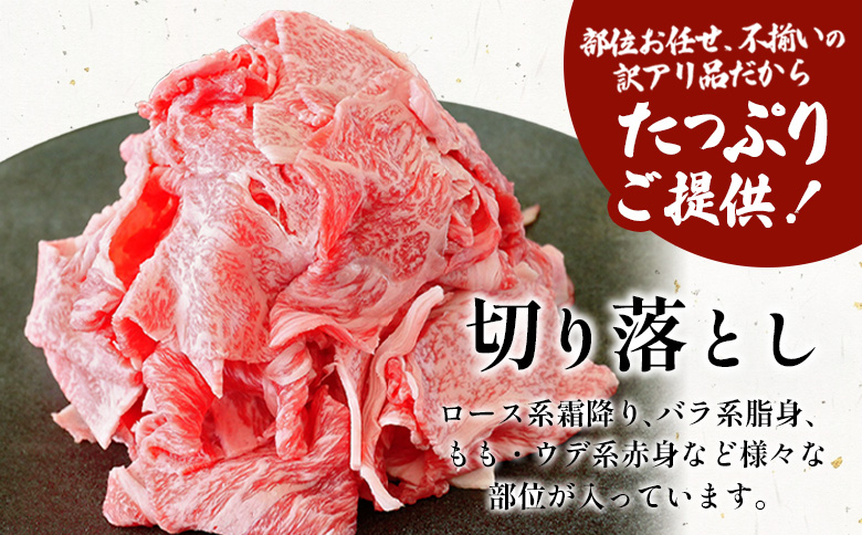 飛騨牛 切り落とし 1kg（250g×4P） A5 A4 国産 牛 黒毛和牛 和牛 牛肉 切落し 切り落し 薄切り 訳あり 牛丼 すき焼き しゃぶしゃぶ 炒め物 東白川村 岐阜 飛騨 贅沢 霜降り ロ