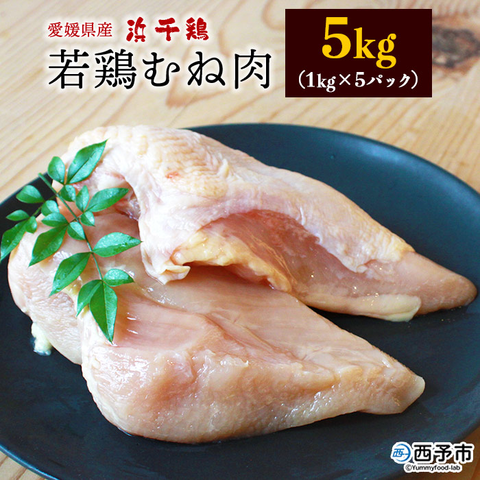 ＜銘柄鶏 浜千鶏 愛媛県産 若鶏むね肉 5kg（1kg×5）＞ 国産 鶏肉 鳥肉 とり チキン むね肉 ムネ 精肉 にく ブロック 料理 アレンジ 夕飯 夕食 お弁当 昼食 唐揚げ から揚げ 愛媛県 西予市