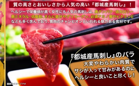 都城産馬刺しバラブロック100g_AA-0102_(都城市) 都城桜肉 馬バラブロック肉 生姜 醤油付き 高タンパク 低カロリー 高ミネラル 低脂肪 真空パック 化粧箱でお届け ギフト・贈答用としても