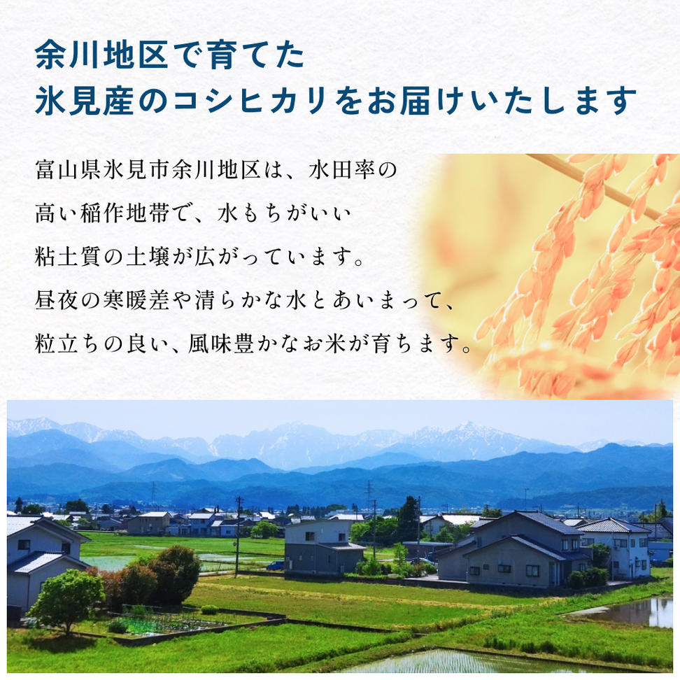 【3回定期便】富山県産 コシヒカリ 5kg 
