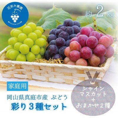 【ふるさと納税】岡山　花笑み農園『彩り3種セット』(シャイン、クイーンニーナ、ピオーネ)(3房)家庭用　3M-2家【配送不可地域：離島】【1650759】