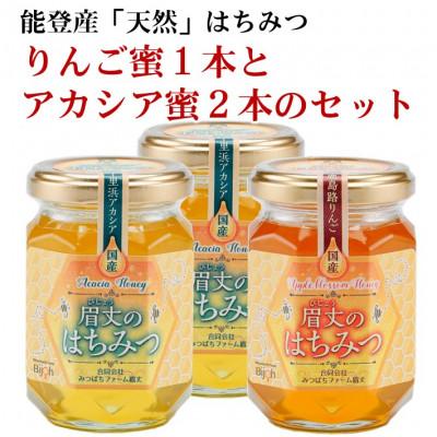 ふるさと納税 羽咋市 能登産天然はちみつ『りんご蜂蜜&アカシア蜂蜜2本』セット |  | 01