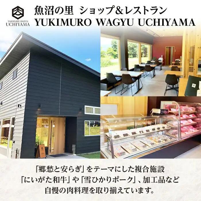 無地熨斗 ビーフシチュー 200g 2個 計400g にいがた和牛 黒毛和牛 国産 肉 牛肉 新潟県 南魚沼市 冷凍 のし gift お土産 プレゼント 贈答 贈答品 YUKIMURO WAGYU U