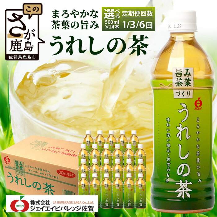 【ふるさと納税】工場直送！うれしの茶 500ml×24本入 1回 3回 6回 定期便 箱買い セット お茶 飲料 緑茶 飲み切りサイズ うれしの 嬉野茶 ペットボトル 24本入り 500ml ストック ギフト 贈り物 贈答 お中元 お歳暮 季節の変わり目 旬 備蓄 備え 佐賀県 鹿島市 B-664