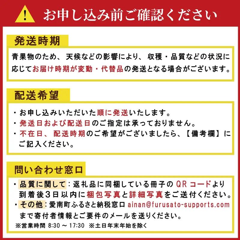 【先行予約】愛媛みかん 3kg (傷み補償200g付き)  みかん 愛媛県 愛南町 吉本農園