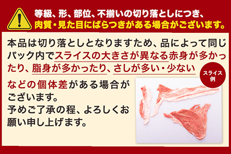 熊本うまかポーク 切り落とし セット 切り落とし 2.8kg+ミンチ1.2kgセット 計4kg  《1-5営業日以内に出荷予定(土日祝除く)》冷凍 豚 個別 個別包装 大容量 ブタ 豚肉 小分け 切り