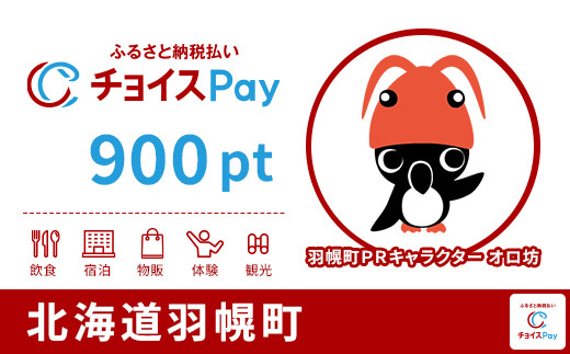 
            羽幌町チョイスPay 900pt【会員限定のお礼の品】
          