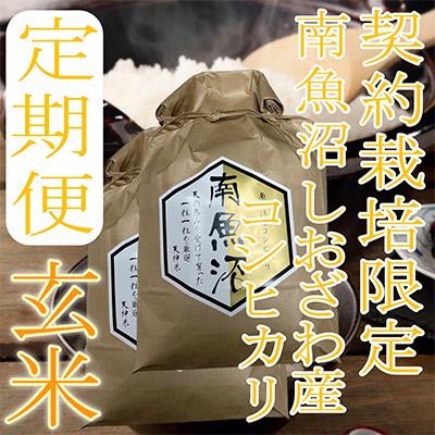 ふるさと納税 南魚沼市 【毎月定期便】【玄米4Kg】生産者限定 南魚沼しおざわ産コシヒカリ全3回